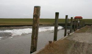 Duckdalben im Hafen von Tümlauer Koog, Eiderstedt Duckdalben im Hafen von Tümlauer Koog auf Eiderstedt