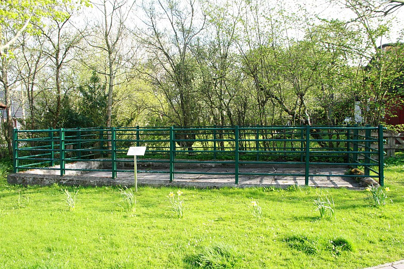 Schüttkoben in Koldenbüttel auf Eiderstedt