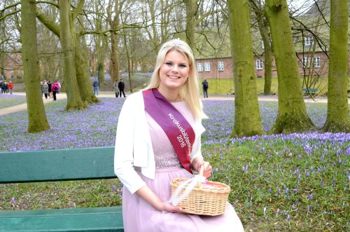 Krokusblütenkönigin Husum Schlosspark